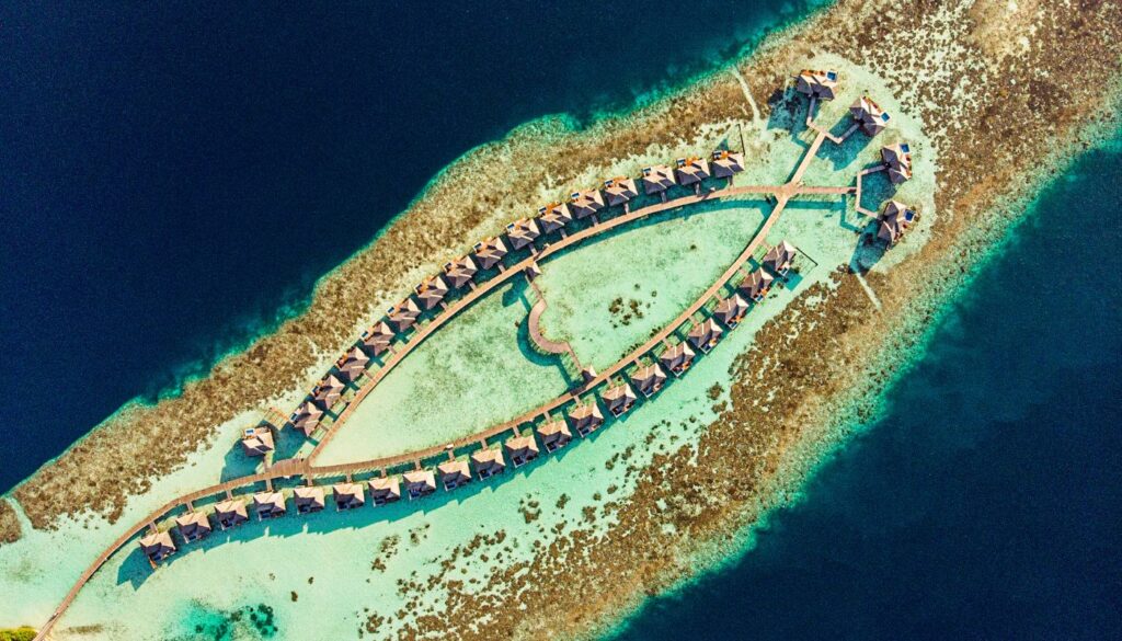 Lily Beach